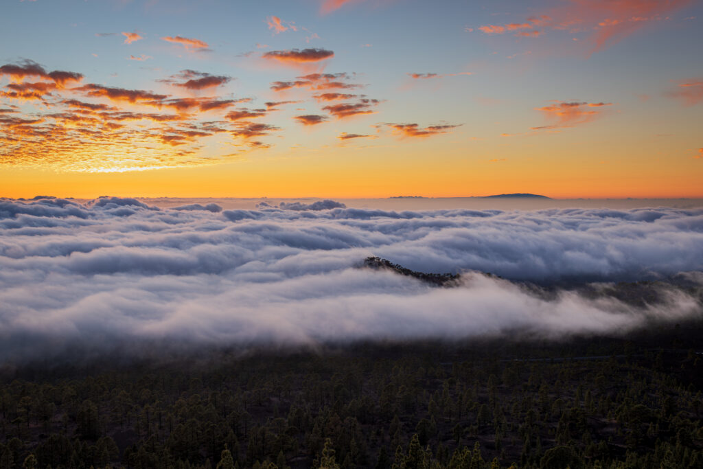 Über den Wolken, Teneriffa 2024