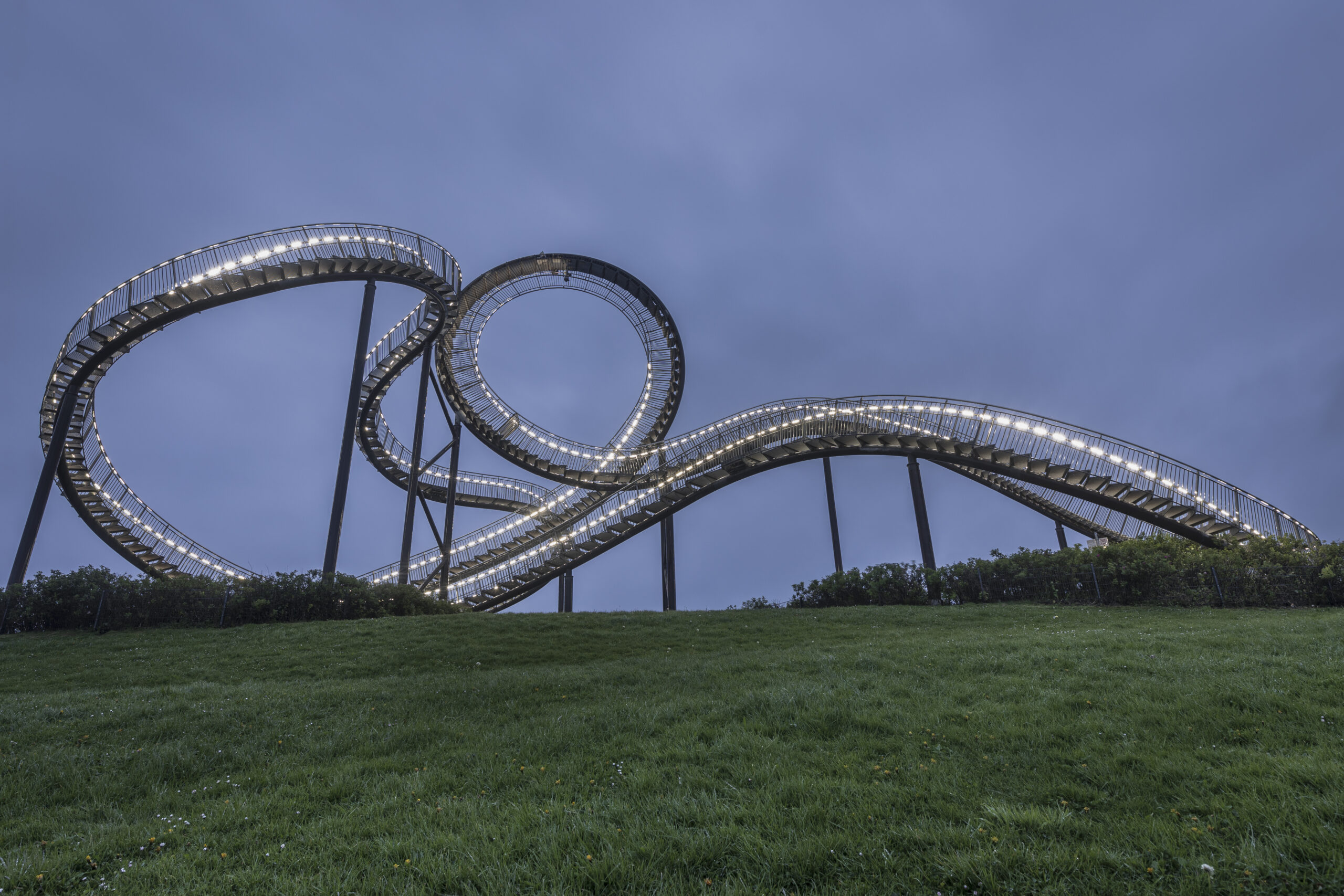 Tiger an Turtel Duisburg