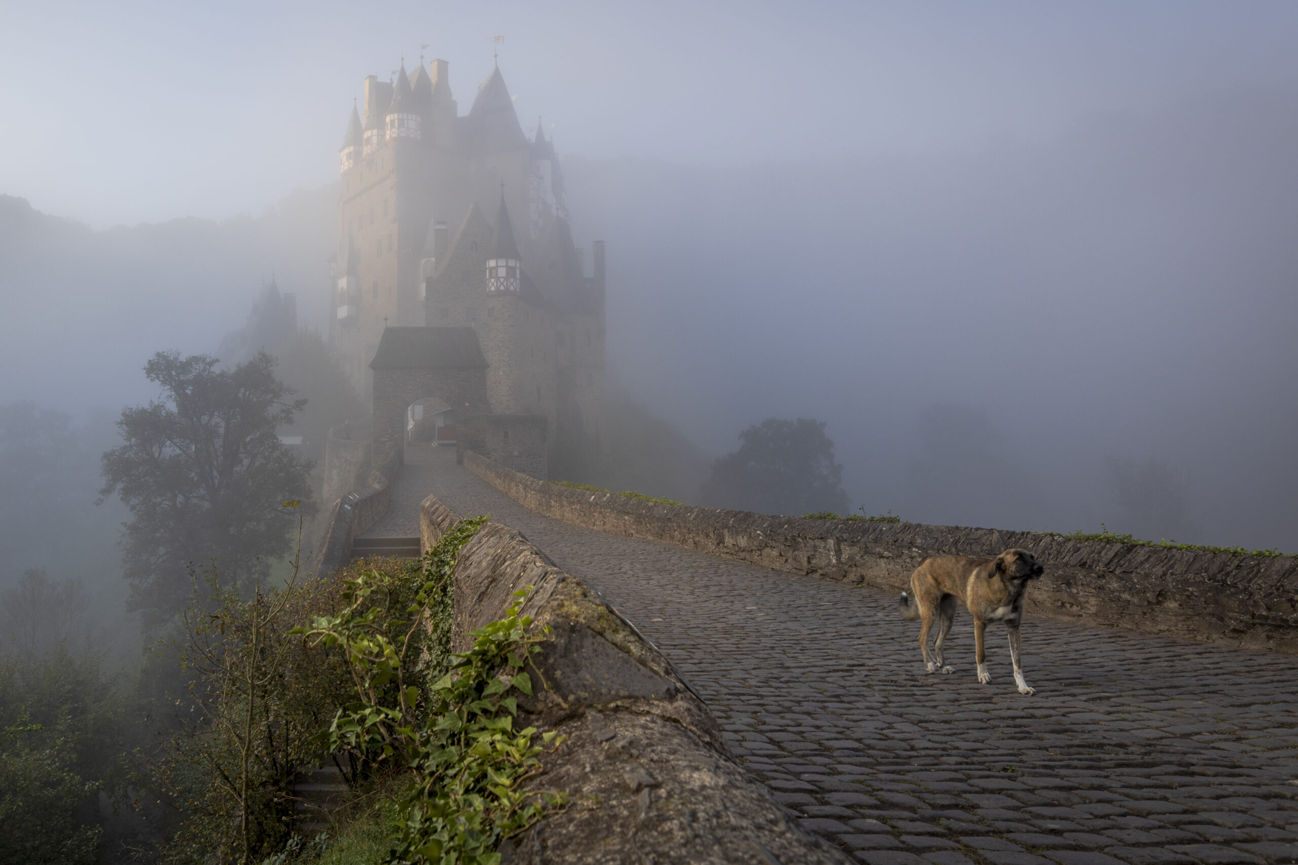 Burg Eltz