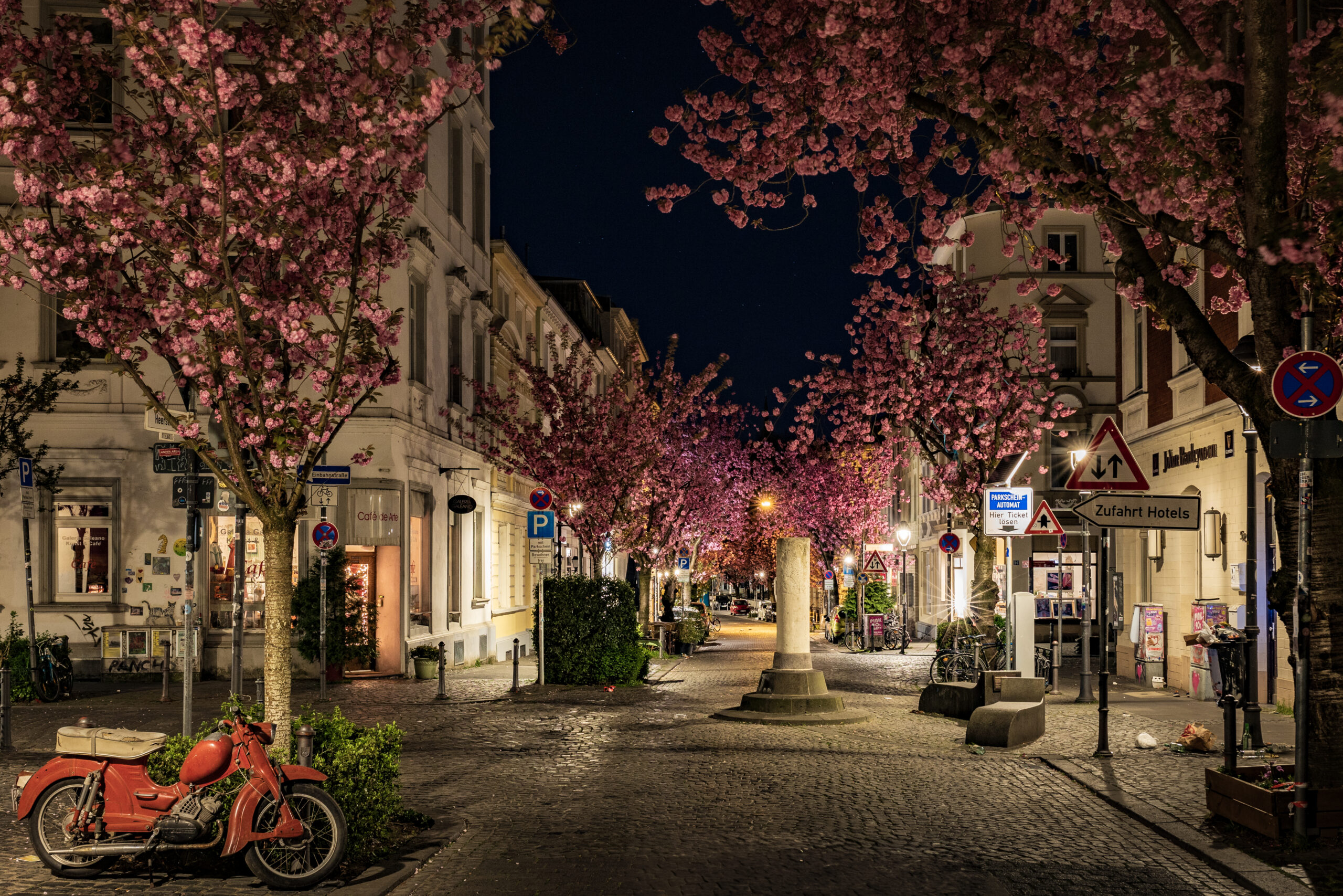Kirschblüte in Bonn