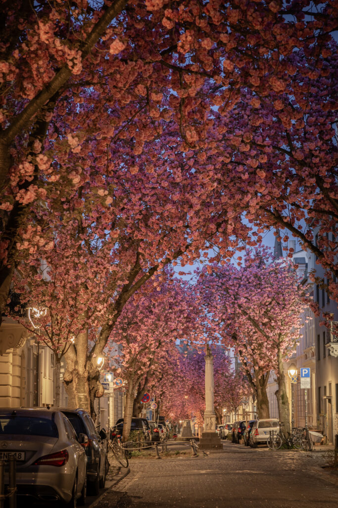 Blaue Stunde Altstadt Bonn