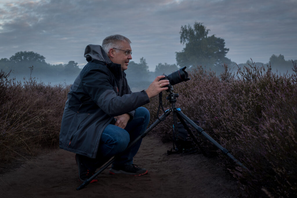 Westruper Heide