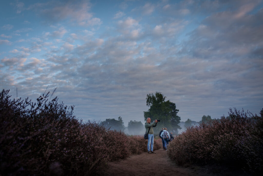 Westruper Heide
